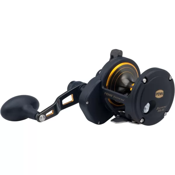 Penn 1292934 Fathom 40N Lever 2-Speed Lever Drag Fishing Reel