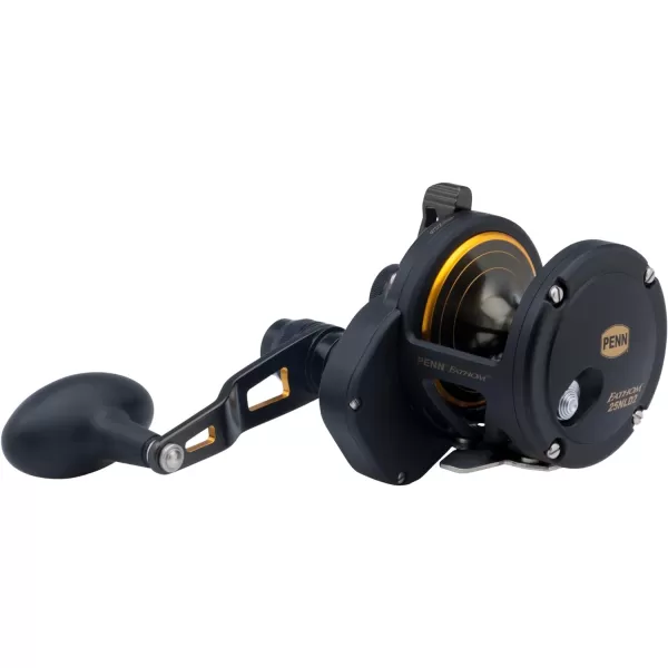 Penn 1292934 Fathom 40N Lever 2-Speed Lever Drag Fishing Reel
