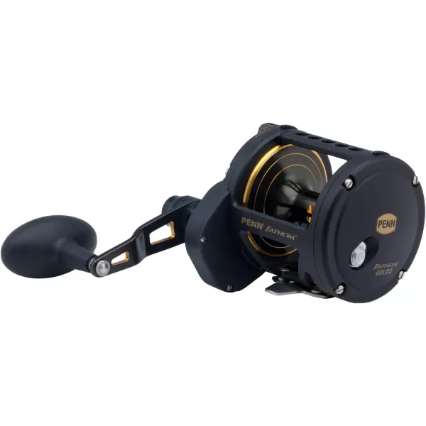 Penn 1292934 Fathom 40N Lever 2-Speed Lever Drag Fishing Reel