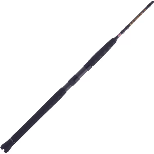 Penn Battalion Inshore Spinning Rods