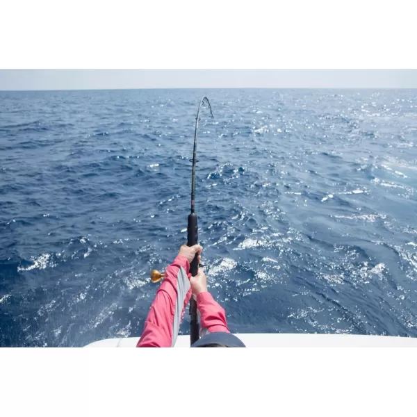 Penn Carnage II &amp; Carnage III Surf Conventional Fishing Rod