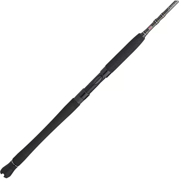 Penn Carnage III Inshore Spinning Fishing Rod