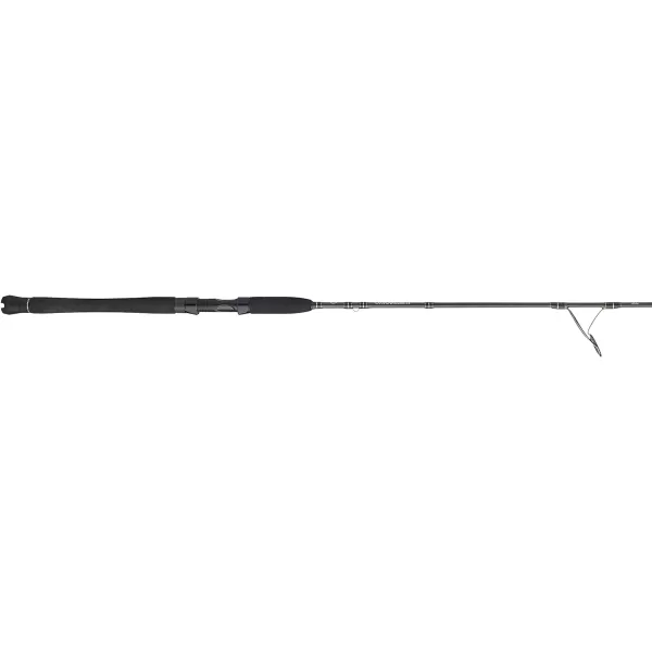 Penn Carnage III Inshore Spinning Fishing Rod