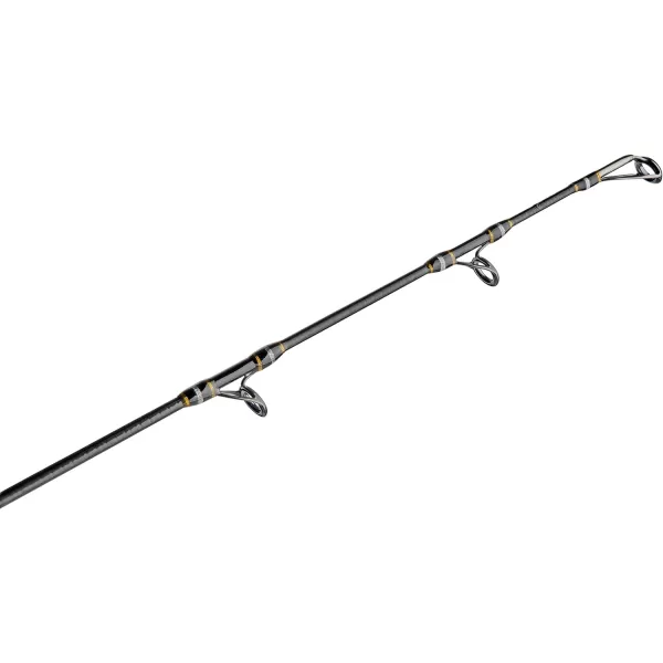 Penn Carnage III Inshore Spinning Fishing Rod