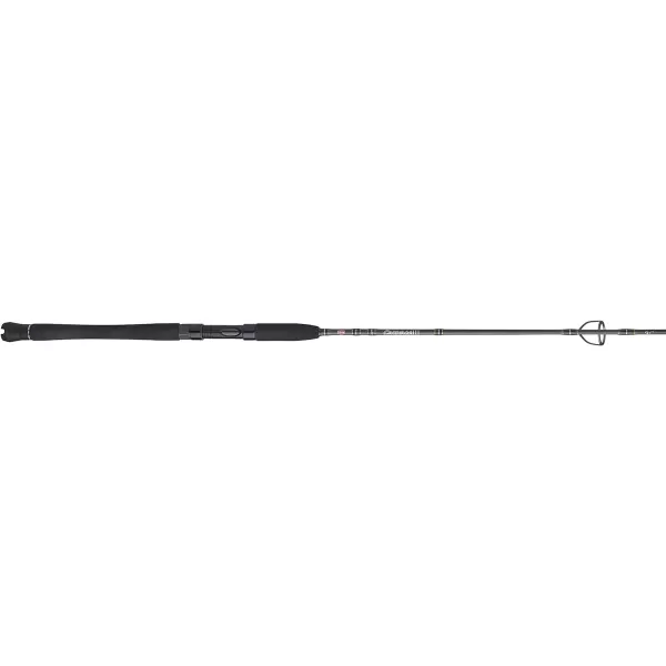 Penn Carnage III Inshore Spinning Fishing Rod