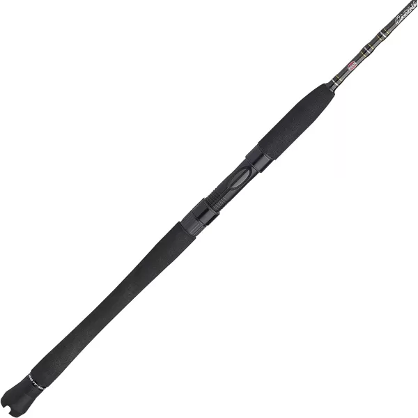 Penn Carnage III Inshore Spinning Fishing Rod