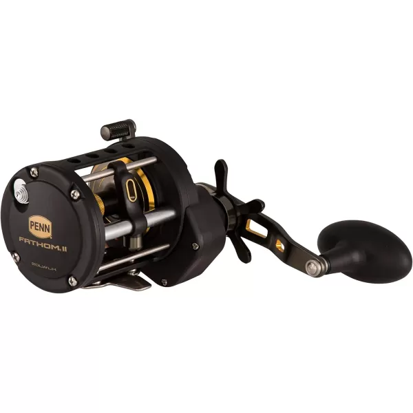 Penn Fathom II Level Wind Multiplier Reel - Saltwater Fishing Reel for Boat, Shore and Kayak Fishing