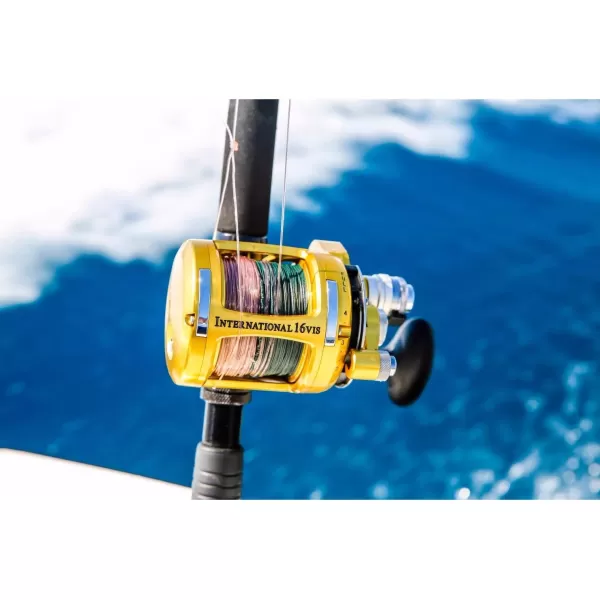 Penn International VI Conventional Fishing Reels 