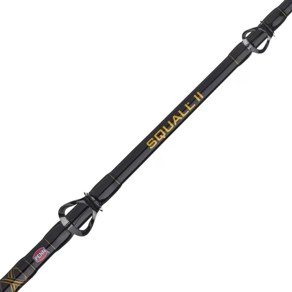 Penn Squall II Level Wind Conventional Reel and Fishing Rod Combo
