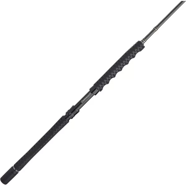 PENN Carnage II &amp; Carnage III Jig Spinning Fishing Rod)