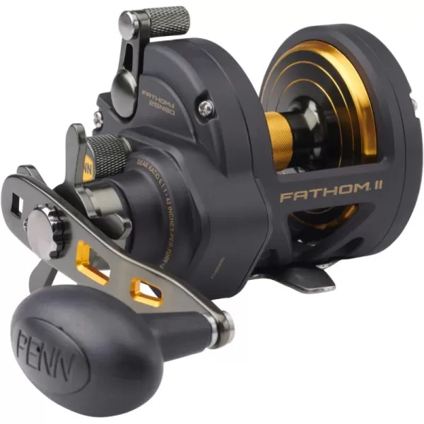PENN Fathom II Star Drag Conventional Fishing Reel, Black Gold, 25N