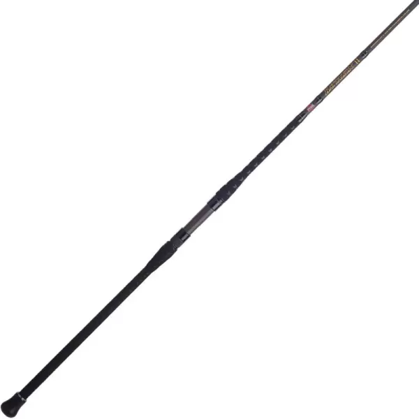 PENN Squadron III Surf Spinning Fishing Rod