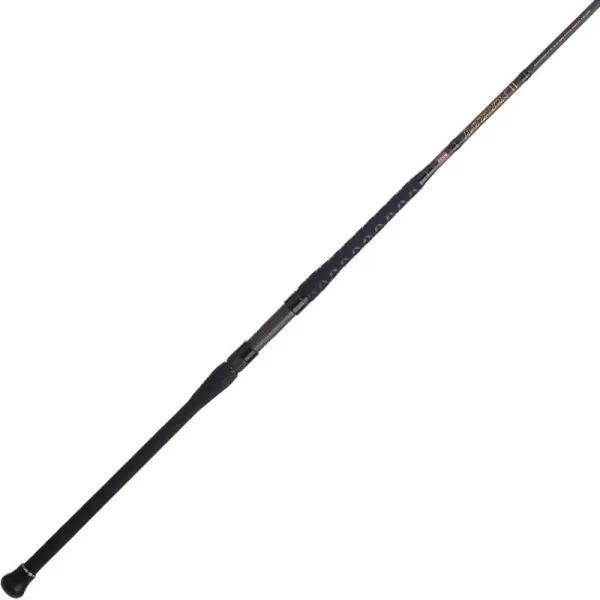 PENN Squadron III Surf Spinning Fishing Rod