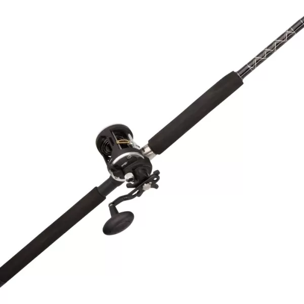 PENN® Rival™ Levelwind Combo
