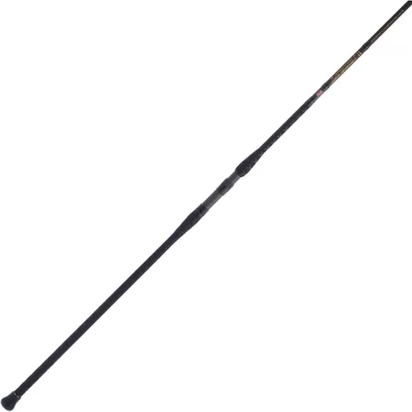 Penn Battalion II Surf Casting Fishing Rod
