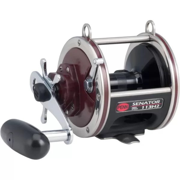 Penn Special Senator Star Drag Conventional Fishing Reel