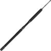 imagePENN Carnage II ampamp Carnage III Spinning Fishing RodCarnage Iii New Model