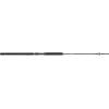 imagePENN Carnage II ampamp Carnage III Spinning Fishing RodCarnage Iii New Model