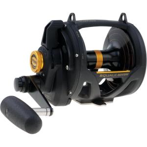 imagePENN Squall II Lever Drag 2 Speed Conventional Fishing ReelSQL50VSW
