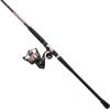 imagePENN Passion II Spinning Reel and Fishing Rod ComboPassion Ii