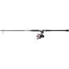 imagePENN Passion II Spinning Reel and Fishing Rod ComboPassion Ii