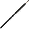 imagePenn International VI Casting Saltwater Fishing Rod