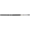 imagePenn International VI Casting Saltwater Fishing Rod