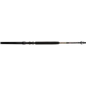imagePenn International VI Casting Saltwater Fishing Rod