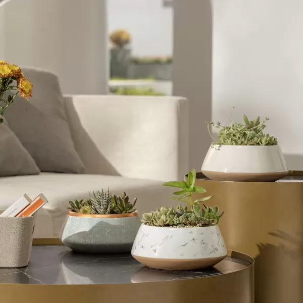 Ceramic Animal Succulent Planter Pots - 6.1 + 4.5 inch Cute Alpaca / Llama &amp; Goat Rough Pottery Unglazed Flower Plant Pots Indoor with Drainage for Herb Cactus Air Plants, Home Decor Gifts for Mom