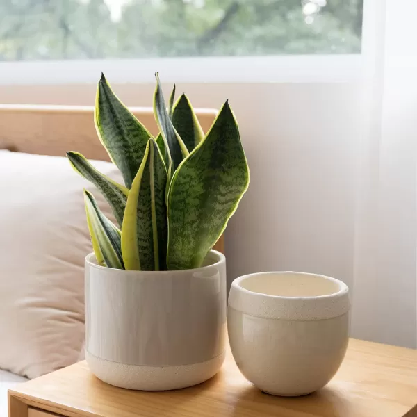 LA JOLIE MUSE Ceramic Footed Flower Plant Pots - 6.7 + 5.1 Inch Boho Decor Indoor Planters with Drainage, Home Decor Gift, Beige