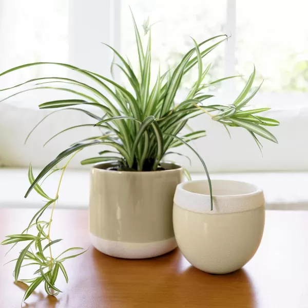 LA JOLIE MUSE Ceramic Footed Flower Plant Pots - 6.7 + 5.1 Inch Boho Decor Indoor Planters with Drainage, Home Decor Gift, Beige