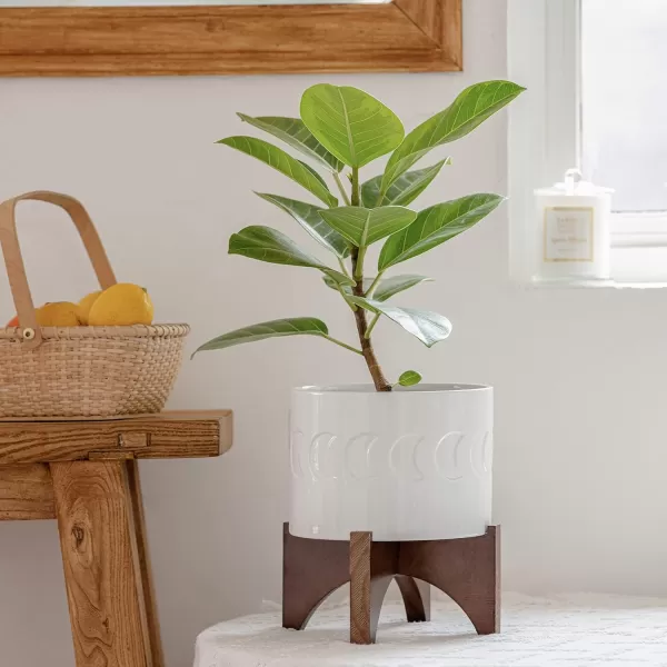 LA JOLIE MUSE Ceramic Planter with Wood Stand - 8 Inch White Cylinder Embossed Hobnail Patterned Flower Plant Pot Indoor