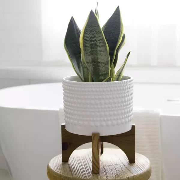 LA JOLIE MUSE Ceramic Planter with Wood Stand - 8 Inch White Cylinder Embossed Hobnail Patterned Flower Plant Pot Indoor