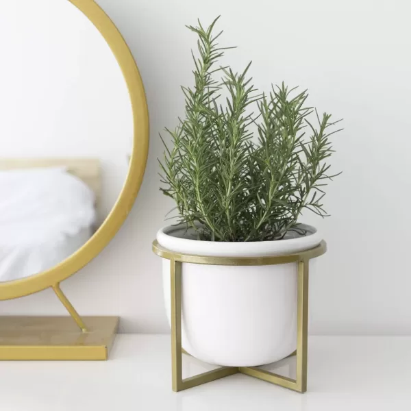 LA JOLIE MUSE Ceramic Planter with Wood Stand - 8 Inch White Cylinder Embossed Hobnail Patterned Flower Plant Pot Indoor