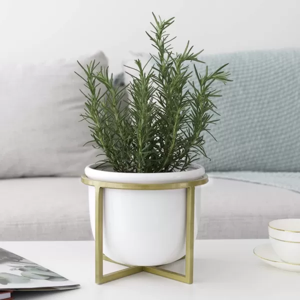 LA JOLIE MUSE Ceramic Planter with Wood Stand - 8 Inch White Cylinder Embossed Hobnail Patterned Flower Plant Pot Indoor