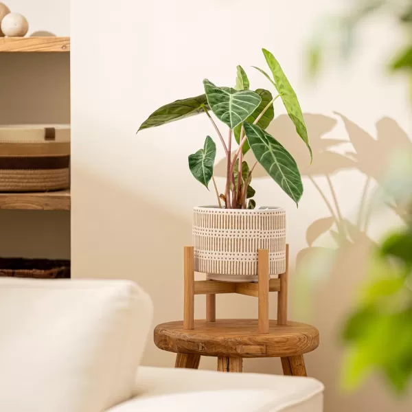 LA JOLIE MUSE Ceramic Planter with Wood Stand - 8 Inch White Cylinder Embossed Hobnail Patterned Flower Plant Pot Indoor