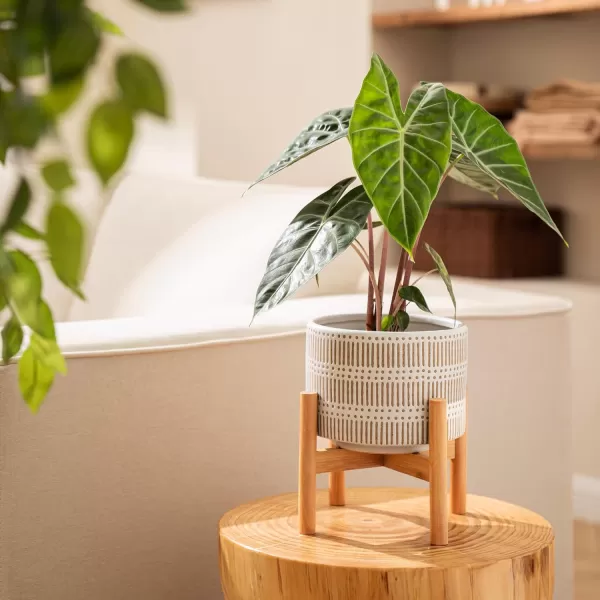 LA JOLIE MUSE Ceramic Planter with Wood Stand - 8 Inch White Cylinder Embossed Hobnail Patterned Flower Plant Pot Indoor