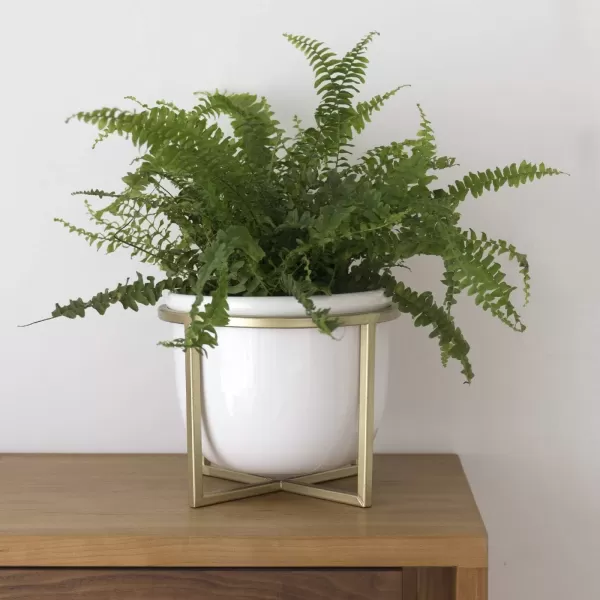 LA JOLIE MUSE Ceramic Planter with Wood Stand - 8 Inch White Cylinder Embossed Hobnail Patterned Flower Plant Pot Indoor