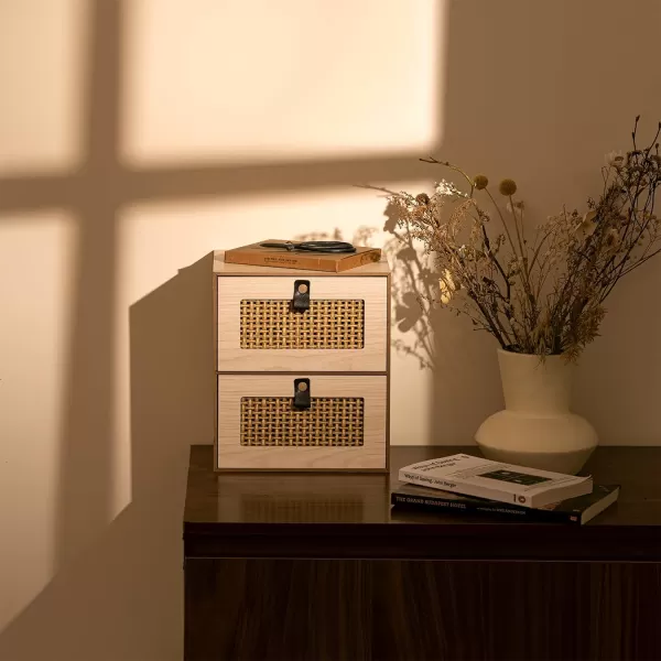 LA JOLIE MUSE Cube Storage Bins Set of 2, Wooden Storage Cubes with Hollowed Design, Storage Cubes Organizer for Shelves, Storage Bin with Leather Straps for Organizing office organizers