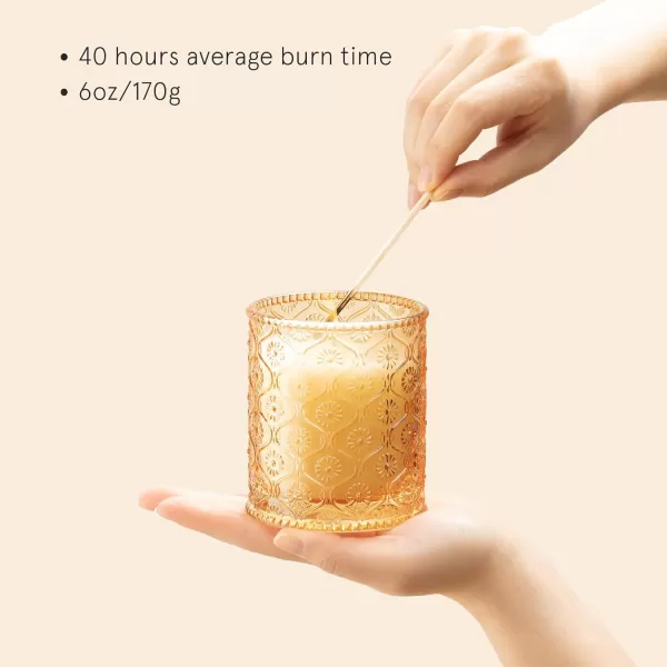 LA JOLIE MUSE Kyoto Vine &amp; Moss Scented Candles, Vine Candles for Home Scented, Natural Soy Wax Candle, Candles Gifts for Women, 6 oz 40 Hours Burn
