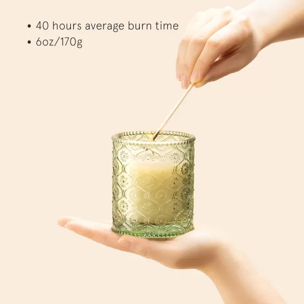 LA JOLIE MUSE Kyoto Vine &amp; Moss Scented Candles, Vine Candles for Home Scented, Natural Soy Wax Candle, Candles Gifts for Women, 6 oz 40 Hours Burn