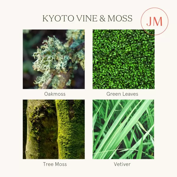 LA JOLIE MUSE Kyoto Vine &amp; Moss Scented Candles, Vine Candles for Home Scented, Natural Soy Wax Candle, Candles Gifts for Women, 6 oz 40 Hours Burn