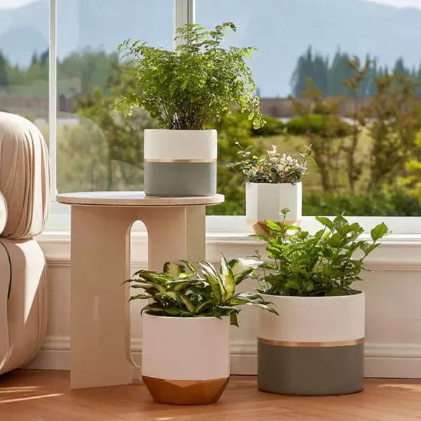LA JOLIE MUSE White Ceramic Flower Pot Garden Planters 6.7 Inch Pack 2 Indoor Plant Containers with Gold and Grey Detailing