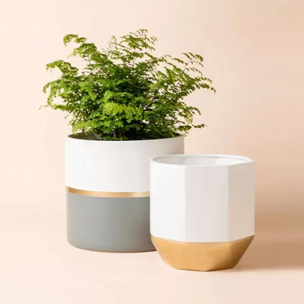 LA JOLIE MUSE White Ceramic Flower Pot Garden Planters 6.7 Inch Pack 2 Indoor Plant Containers with Gold and Grey Detailing