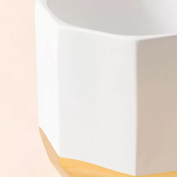 LA JOLIE MUSE White Ceramic Flower Pot Garden Planters 6.7 Inch Pack 2 Indoor Plant Containers with Gold and Grey Detailing