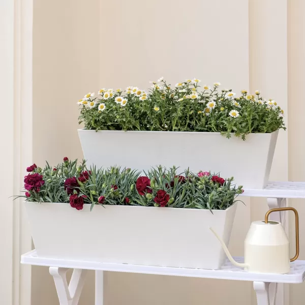 LA JOLIE MUSE Window Boxes Planters, Rectangular Plastic Planter for Indoor and Outdoor, Minimalist Chic Trapezoid-Shaped Succulent Planter, Matte White, Set of 2, 21.7 x 6 x 5.8 inches