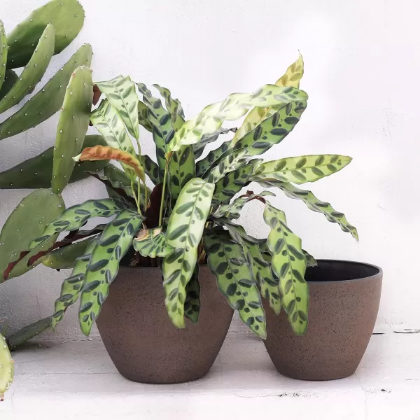 LA Jolie Muse Flower Pots Outdoor Garden Planters, 8.6 +7.5 inch Indoor Plant Pots with Drainage Holes, Speckled White