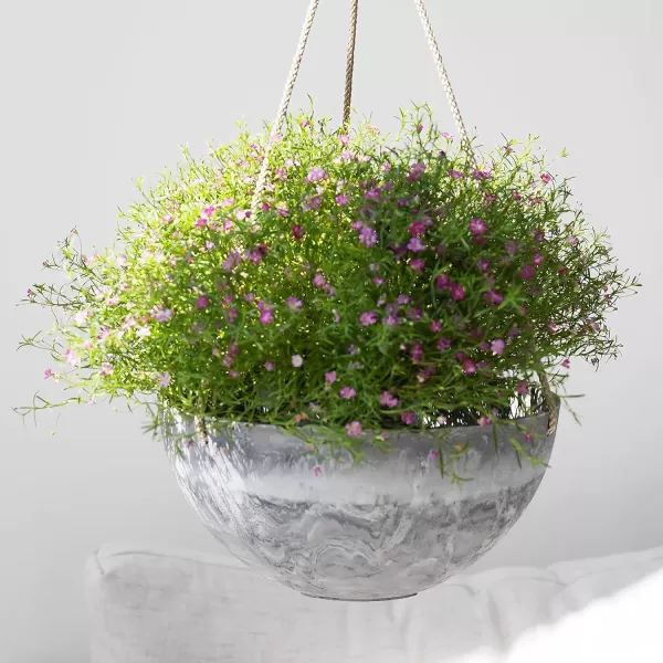 LA Jolie Muse Hanging Planters for Outdoor Plants - 10 Inch Indoor Flower Pots with Drainage, Plants Pots, Speckled-Black, Set of 2