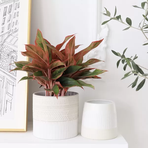 La Jolie Muse Ceramic Planter Flower Plant Pots- 6.7+5.5 Inch Concave Dot Patterned Cylinder Flower Pot W/ Drain Hole for Indoor, Set of 2, Ivory