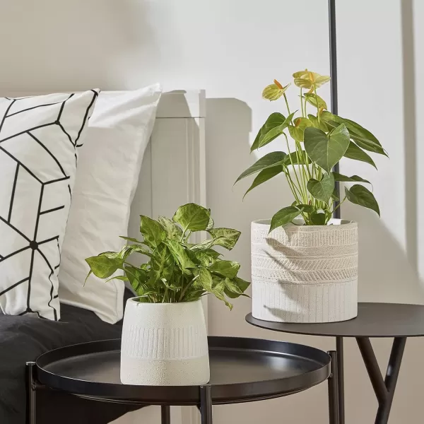 La Jolie Muse Ceramic Planter Flower Plant Pots- 6.7+5.5 Inch Concave Dot Patterned Cylinder Flower Pot W/ Drain Hole for Indoor, Set of 2, Ivory